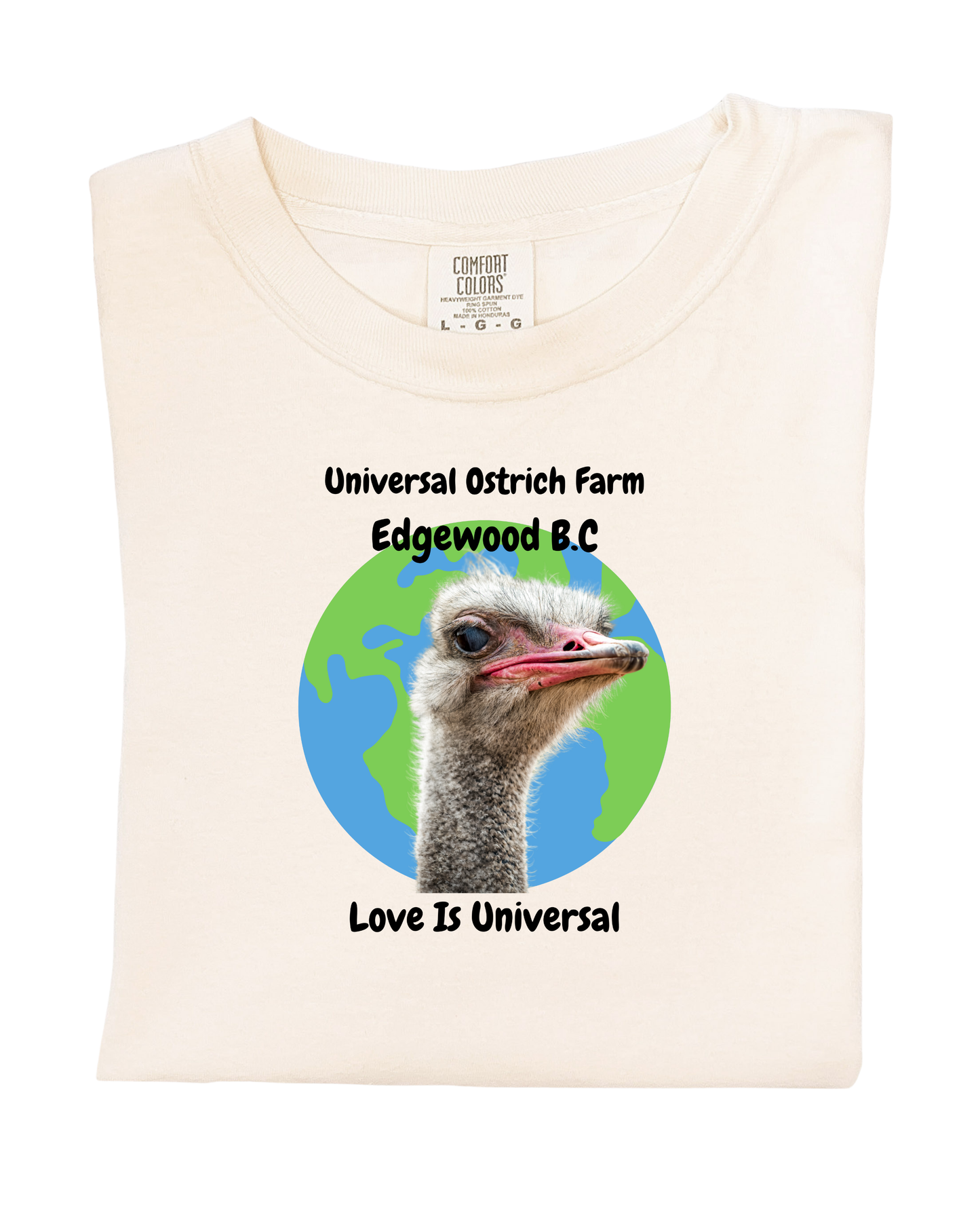 Love Is universal T