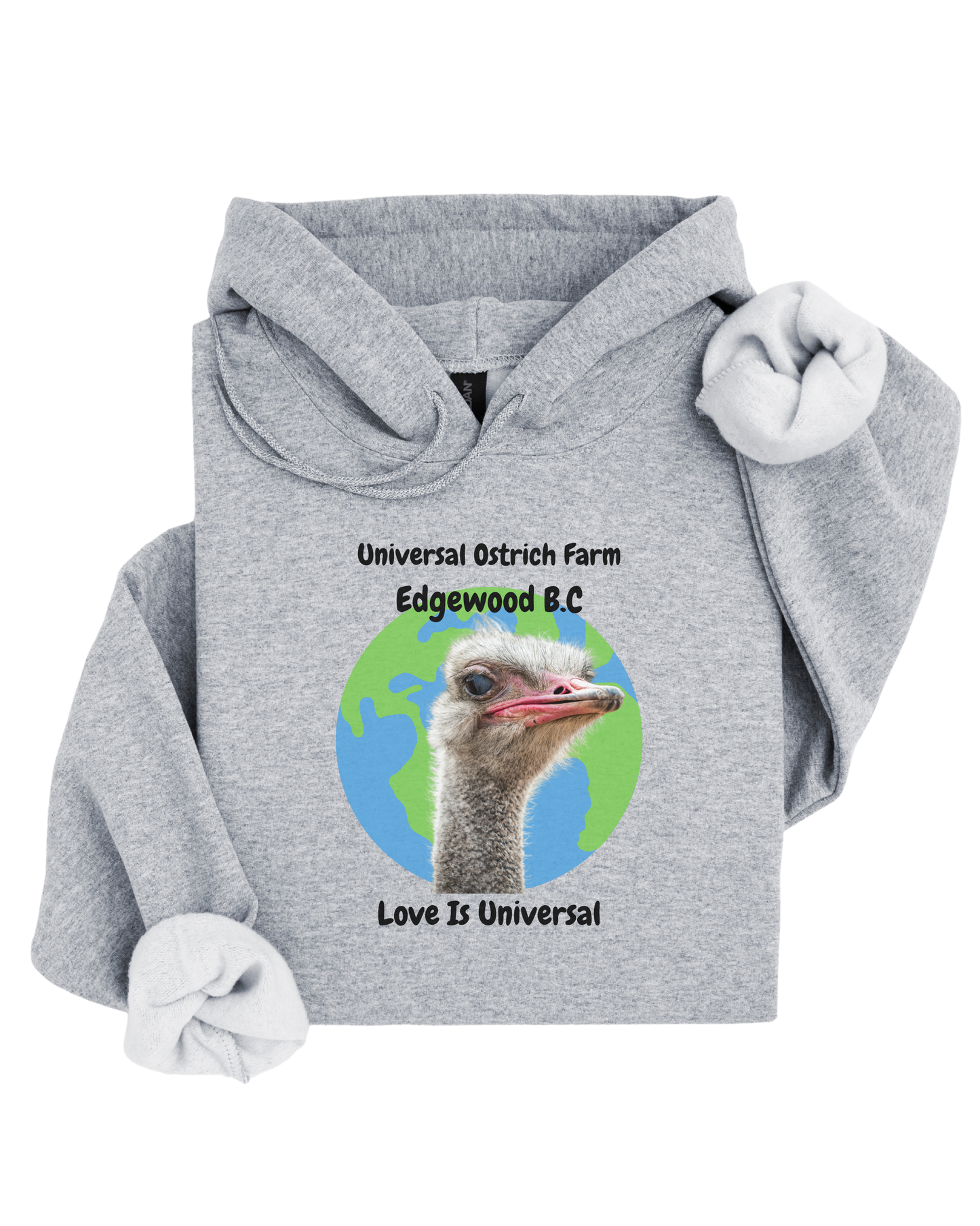 Love Is Universal Hoodie