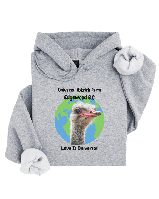 Love Is Universal Hoodie