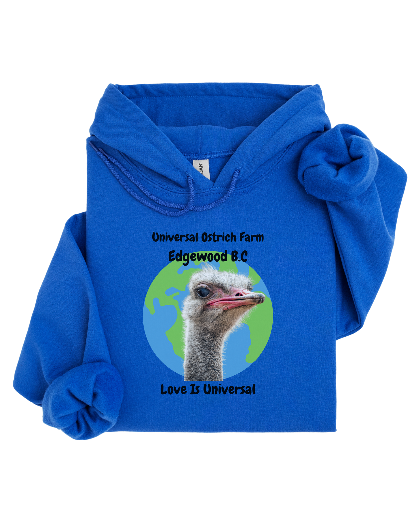 Love Is Universal Hoodie