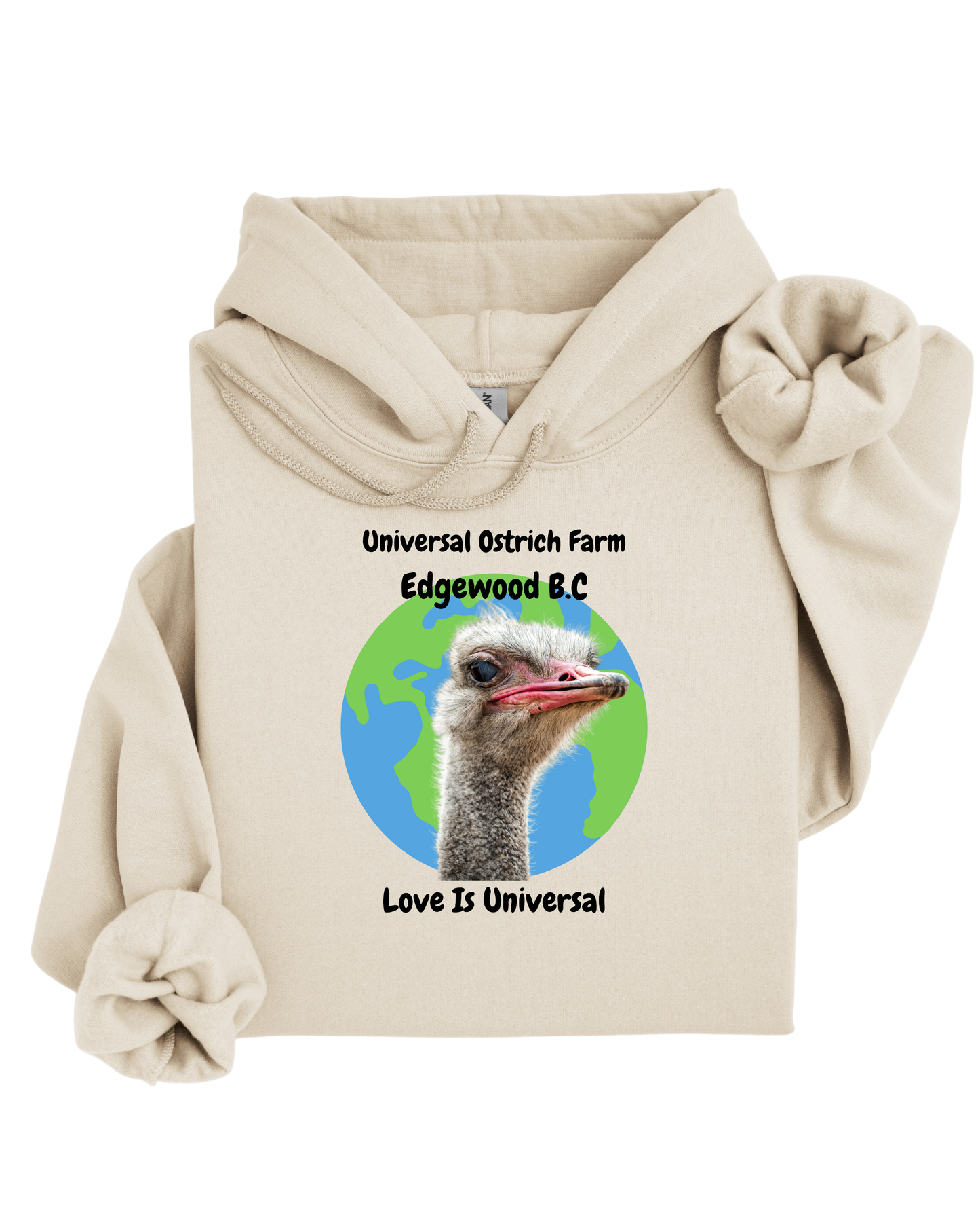 Love Is Universal Hoodie